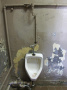 toilet graffiti - graffiti, WC