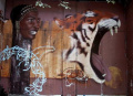 Tigress - Street Art
