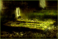 Puszczykowo-stary cmentarz