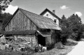 pies, opona i stara stodoła