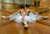 Tinker Bell