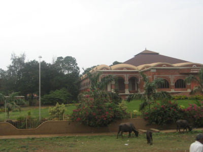 Buffalos and Villas