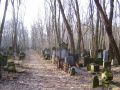 cmentarz żydowski 3