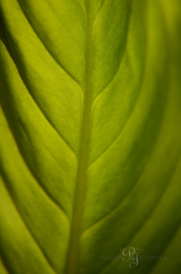natura
