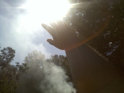 Reach for the Sun