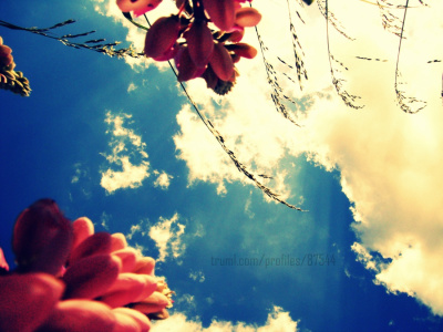 Beautiful World .