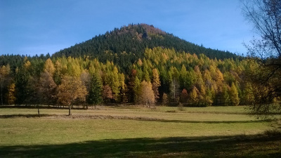 Sokolikowe opowieści