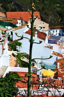 Frigiliana