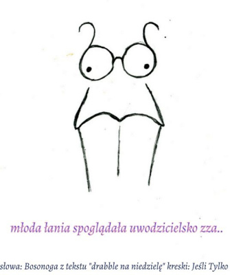 granatowa garsonka