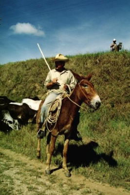 cuban cowboy - kubańska kowbojem