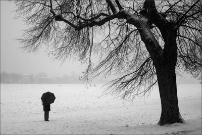 Sound of Silence