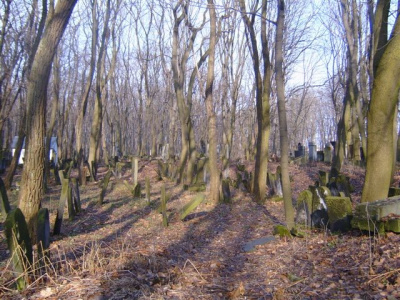 cmentarz żydowski 8