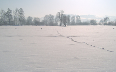 - 28