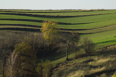 ukołysanie