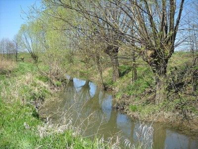 Wiosna
