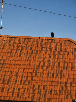 Ten, który patrzył z góry