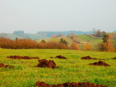 jesień