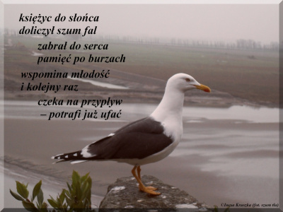 Odpływ...