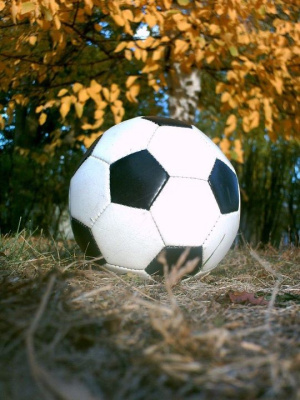 Fall Sports