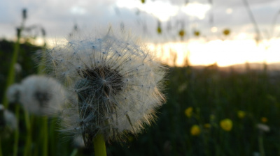 Na koniec dnia