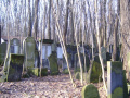 cmentarz żydowski 10