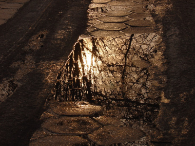 Refleksja