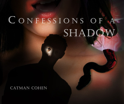 Confessions of a Shadow