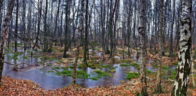 pejzażowo