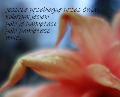 znalezione..
