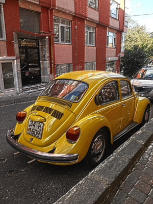 garbus