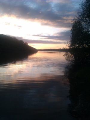 Cavan