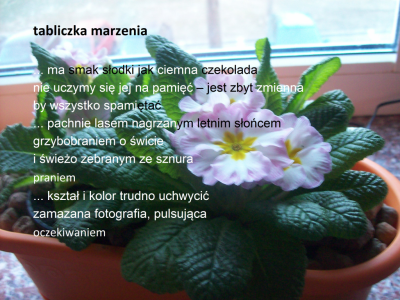 tabliczka marzenia