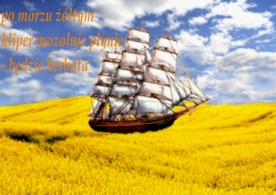 Haiga - okręt