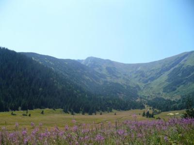 górsko