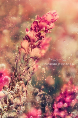pink...