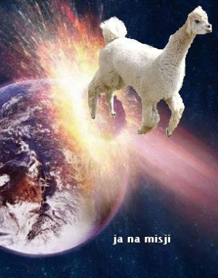 Kosmiczna Lama Przeznaczenia
