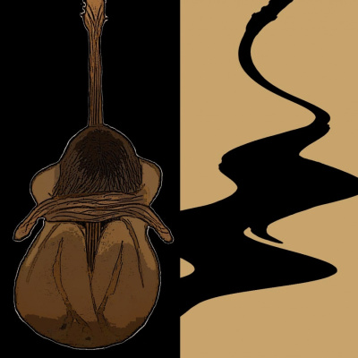 gitara