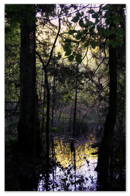 natura