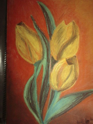 tulipany