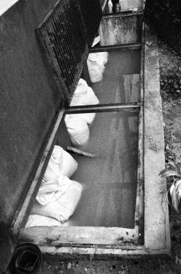 Fotoreportaż pt. Powódź w rzeszowskim schronisku