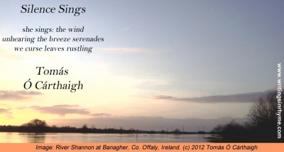 Sunset on the Shannon