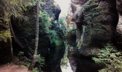 martwe bagna