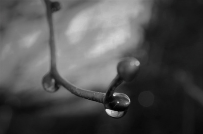 wynurzanie (2)
