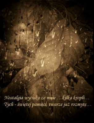 nie...rzeczywistość