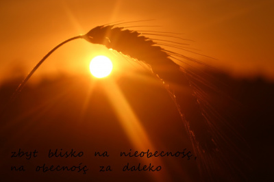 "...za rzęsami..."