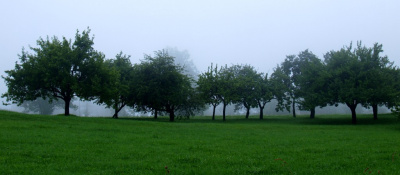 mgliście