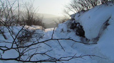 wyjście