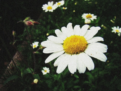 wiosna!