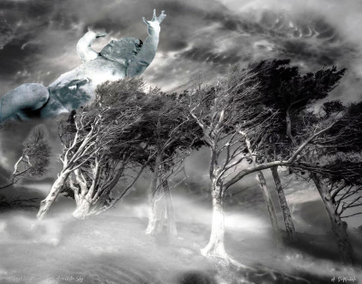 All the while a Great Wind Carries me Across the Sky