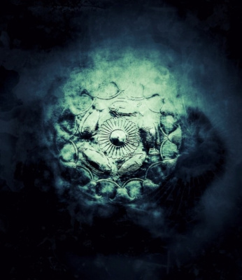 fish nebula